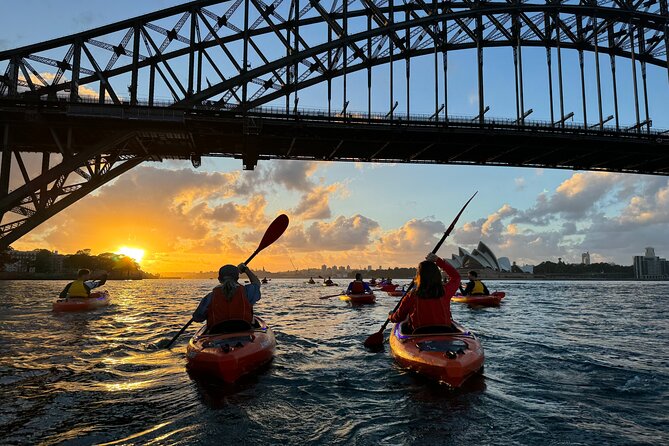 Sunrise Paddle Session on Syndey Harbour (single kayak) - Key highlights I’d circle first