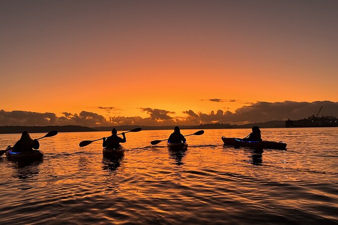 Sunrise Paddle Session on Syndey Harbour (single kayak) - Harbour Bridge at Sunrise: Photos, Light, and the Under-Bridge Question