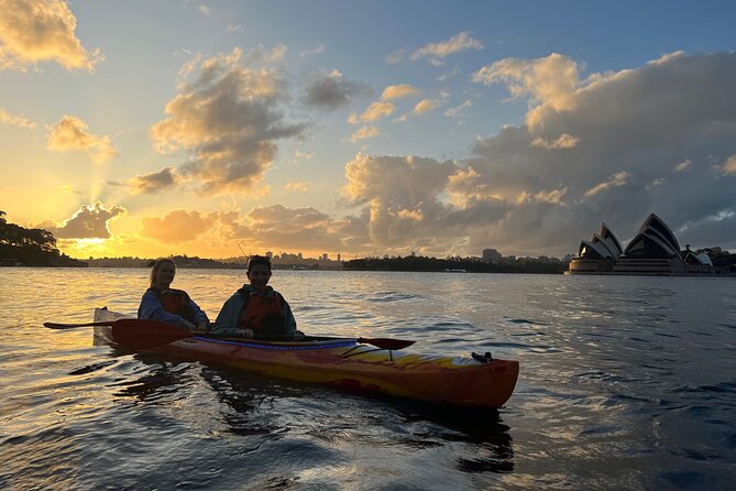 Sunrise Paddle Session on Syndey Harbour (single kayak) - Breakfast at The Flying Bear: Turning the Paddle Into a Real Morning