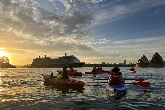 Sunrise Paddle Session on Syndey Harbour (single kayak) - What You’re Paying for: Value in Gear, Coaching, and Time