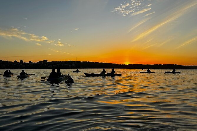 Sunrise Serenity Kayak Tour of Sydney Harbour - Price and value: is $121.21 fair for 2 hours?