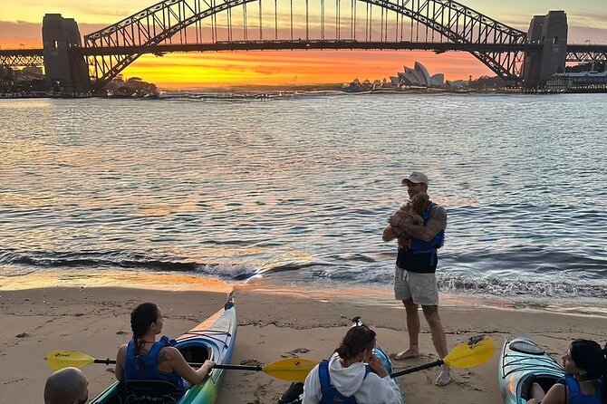 Sunset Harbour Bridge Kayak Escape - Who should book this kayak escape