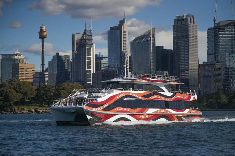 Sydney: 2-hour Express Whale Watching Cruise - Snacks, drinks, and timing while you’re out there