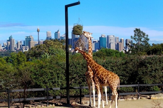 Sydney 3, 5, or 7 Ticket Flexi Pass - Opera House tours and Taronga Zoo: the two stops worth building around
