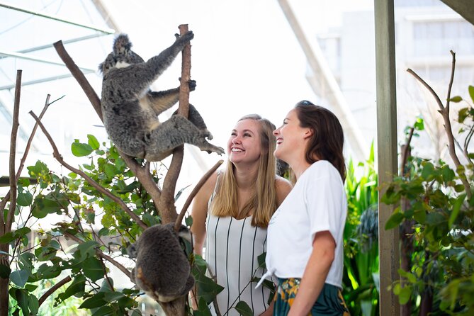 Sydney Attractions Pass: SEA LIFE Aquarium, Sydney Tower Eye, WILD LIFE Zoo and Madame Tussauds - Price and Value: Is This Pass Worth It?
