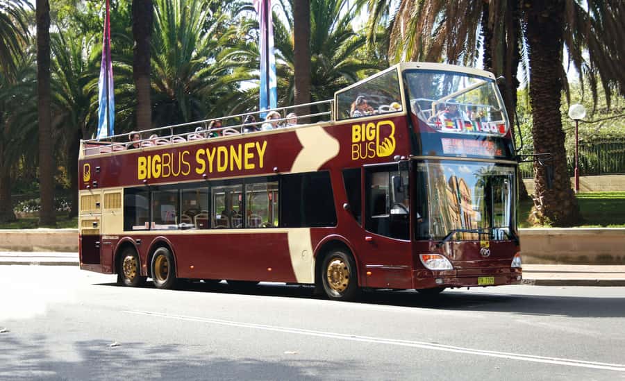 Sydney: Big Bus Hop-On Hop-Off Tour with Optional Cruise - Night Tour on a Non-Stop Loop: Sydney After Dark