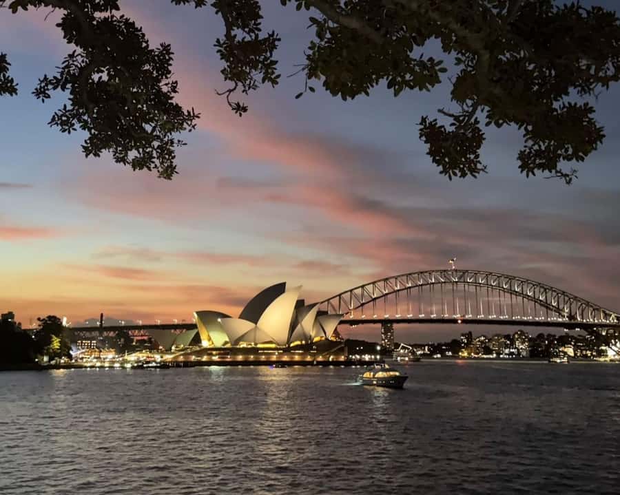 Sydney: Big Bus Panoramic Night Tour by Open-Top Bus - Past ANZAC War Memorial and St. Mary’s Cathedral (A Quick Dose of Sydney’s Public Square)