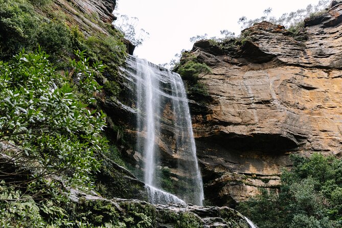 Sydney Blue Mountains Day Tour with Wildlife Park and Waterfalls - Key things that make this tour worth your time