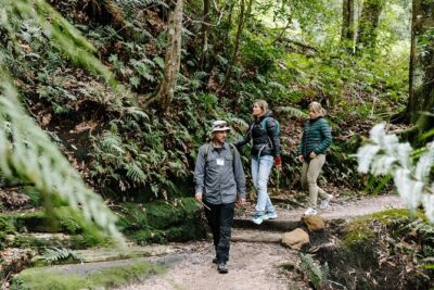 Sydney Blue Mountains Day Tour with Wildlife Park and Waterfalls - The Three Sisters stop: famous views plus Indigenous stories
