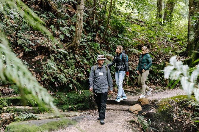 Sydney Blue Mountains Day Tour with Wildlife Park and Waterfalls - The Three Sisters stop: famous views plus Indigenous stories