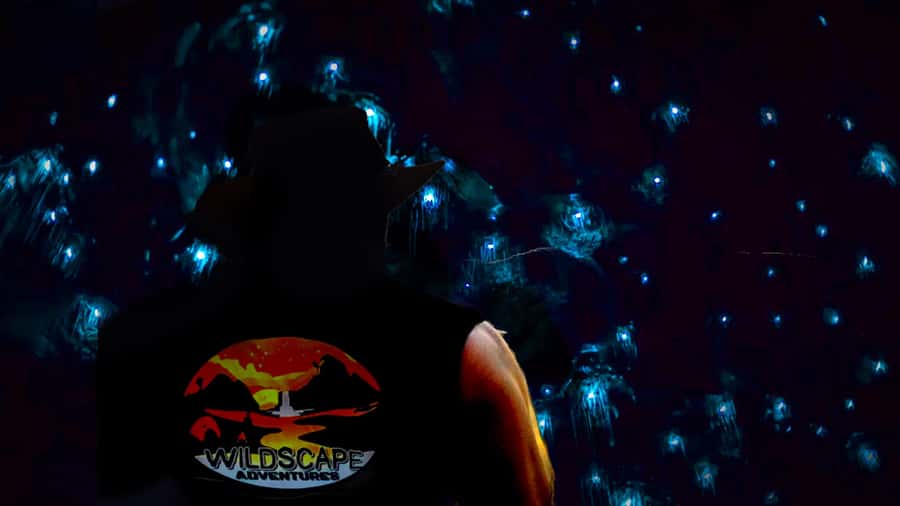 Sydney: Blue Mountains Glow Worms Wild Adventure by Night - Why a nighttime Blue Mountains cave hike feels different