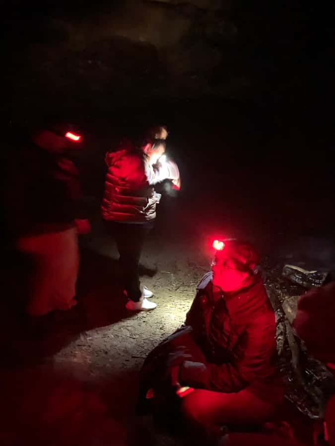 Sydney: Blue Mountains Glow Worms Wild Adventure by Night - Glow worms up close: what you’ll actually see