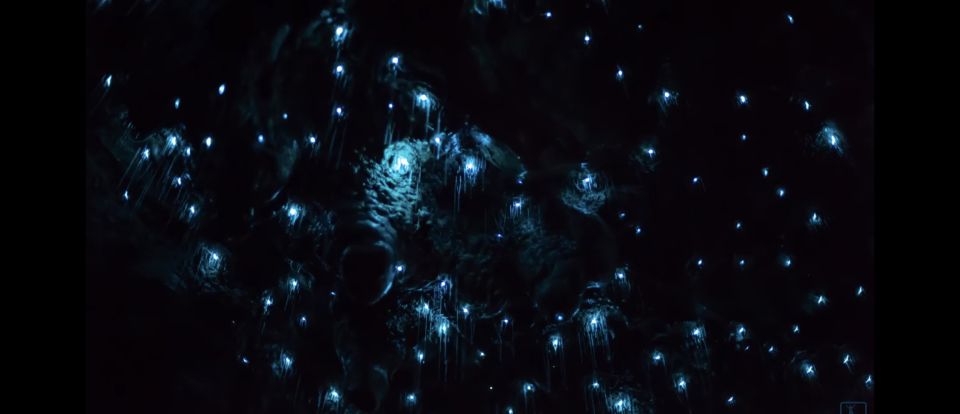 Sydney: Blue Mountains Glow Worms Wild Adventure by Night - Gear that matters: keep it warm, keep it dry