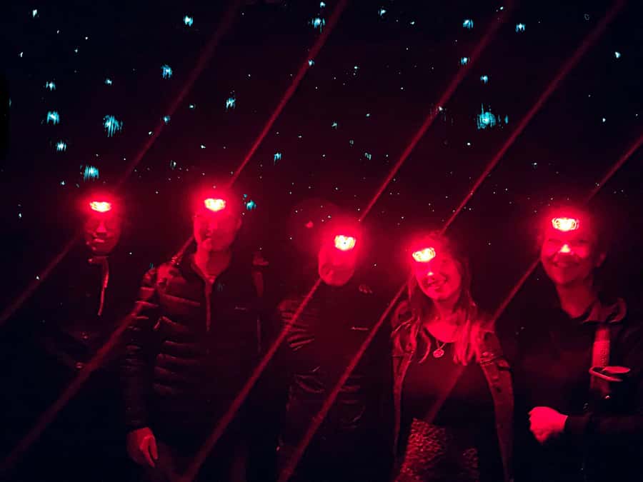 Sydney: Blue Mountains Glow Worms Wild Adventure by Night - Who should book this Blue Mountains glow worm night adventure