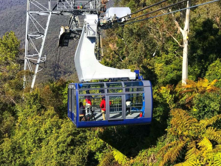 Sydney: Blue Mountains Half Day Scenic World & Lookout Tour - A Half-Day Blueprint That Hits the Blue Mountains Must-Dos