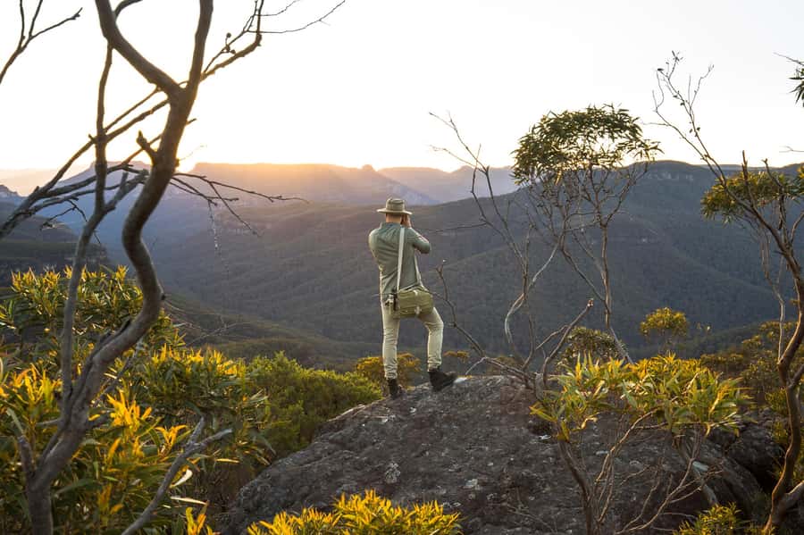 Sydney: Blue Mountains Kangaroos, Wilderness and Sunset Tour - Wildlife viewing: one hour with the wild, not the zoo