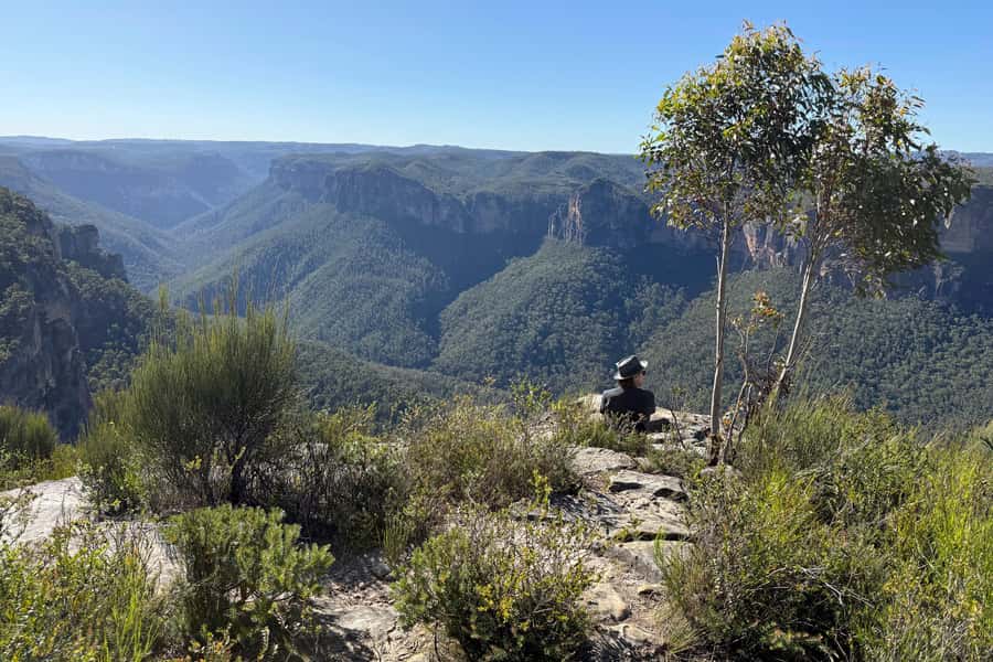 Sydney: Blue Mountains Kangaroos, Wilderness and Sunset Tour - Price and value: why $141 can actually make sense