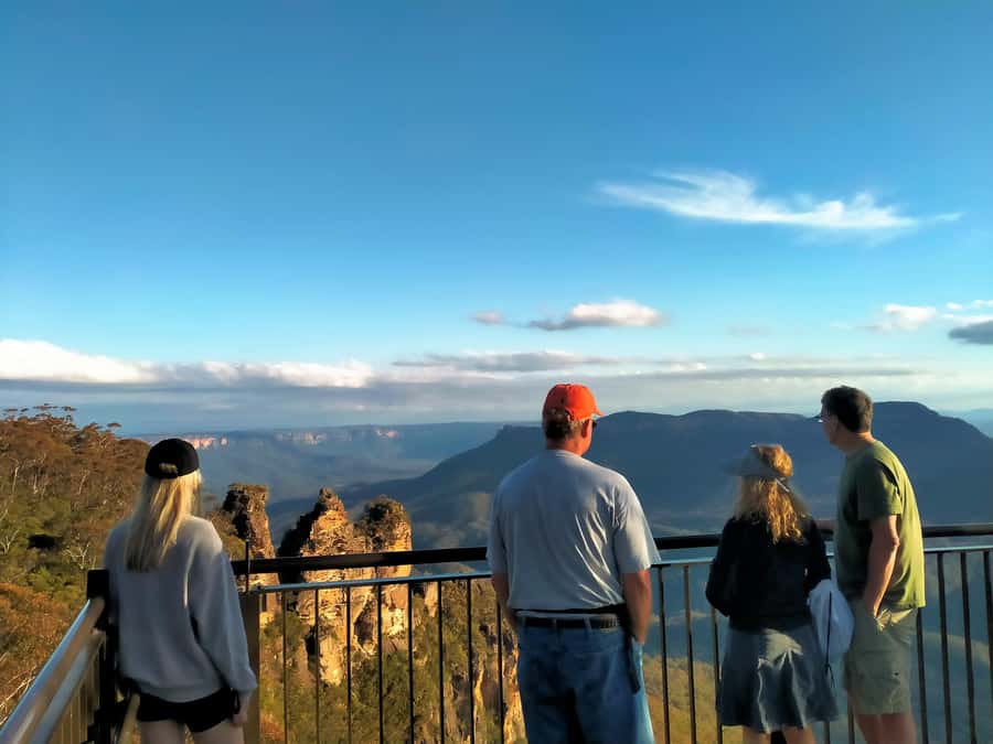 Sydney: Blue Mountains Late Start: Walks, Wildlife & Dinner - Calmsley Hill City Farm: koala photos and the real animal vibe