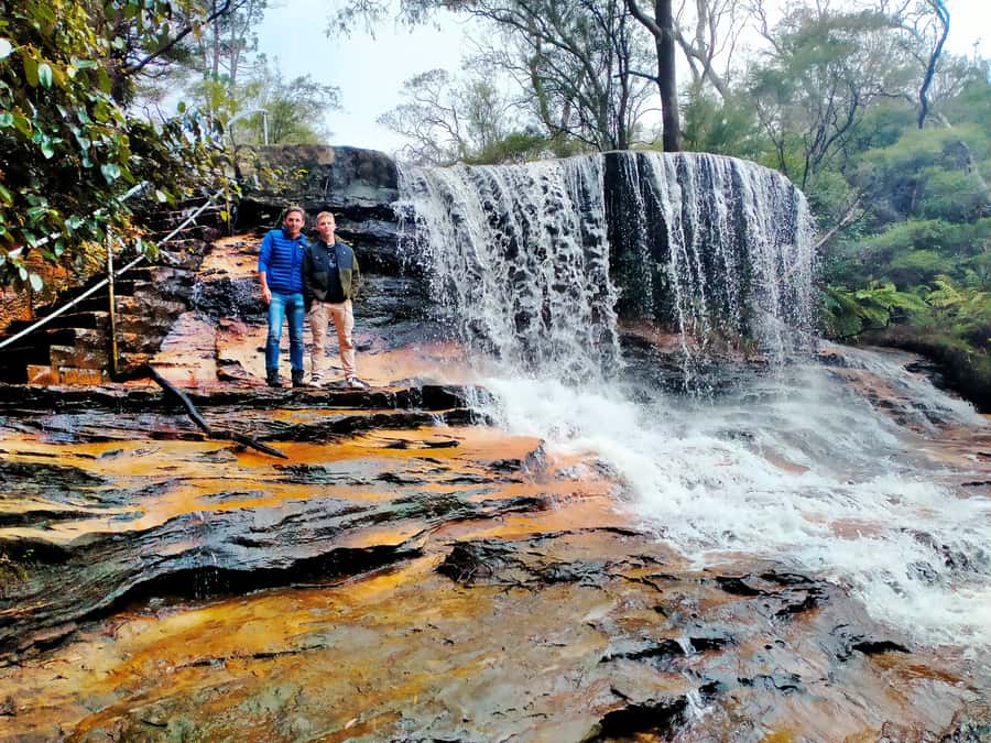 Sydney: Blue Mountains Late Start: Walks, Wildlife & Dinner - Dinner back in the Blue Mountains: included, sit-down, and filling