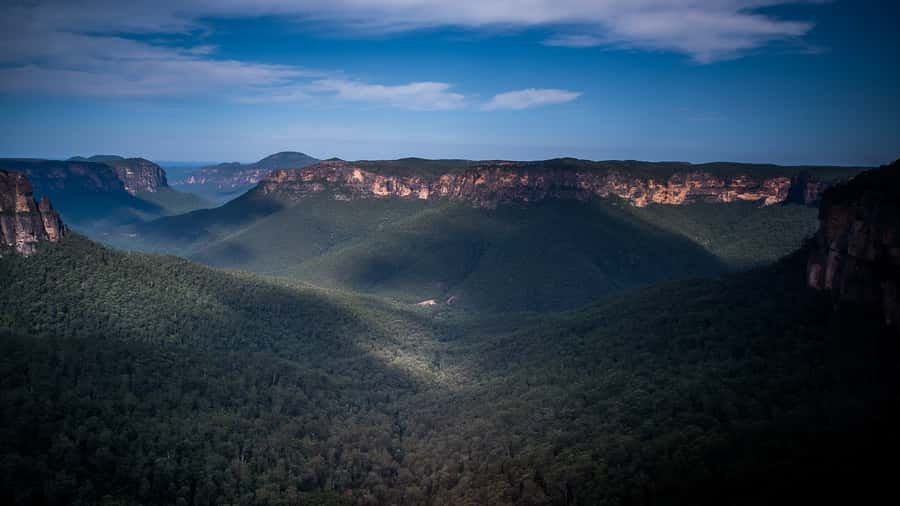 Sydney: Blue Mountains Late Start: Walks, Wildlife & Dinner - Pickup points and van comfort: the part you shouldn’t overthink
