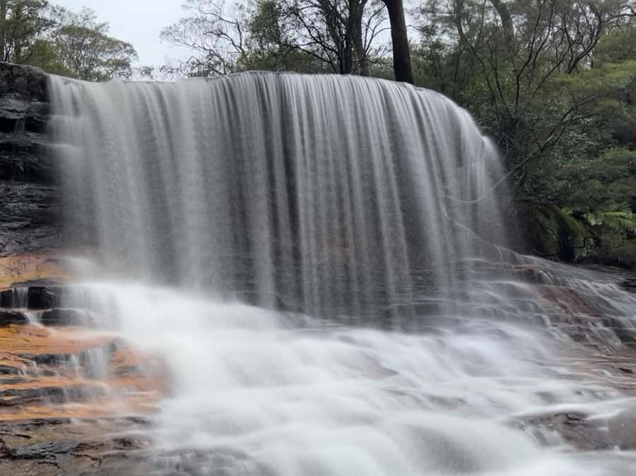 Sydney: Blue Mountains National Park Tour with River Cruise - Key things to know before you go