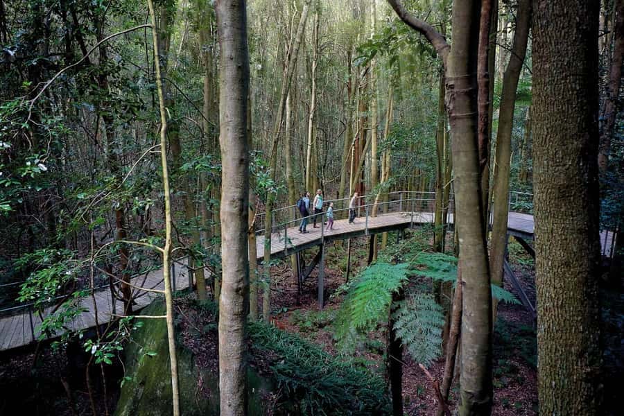 Sydney: Blue Mountains National Park Tour with River Cruise - Scenic World: cable cars, a steep railway, and a rainforest walkway