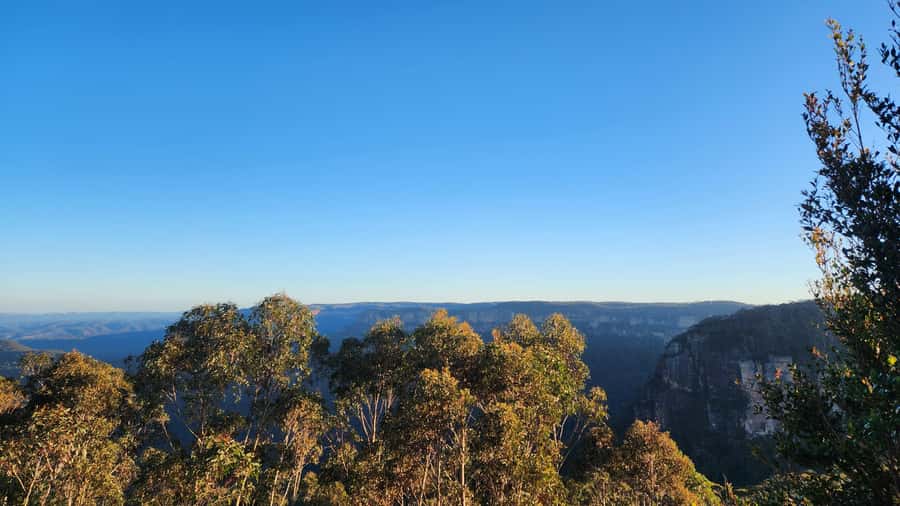Sydney Blue Mountains, Scenic World, Featherdale - Small-Group Comfort: The Part That Makes It Feel Personal