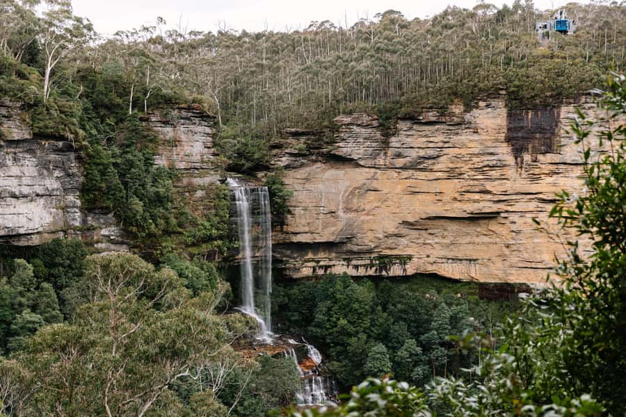 Sydney: Blue Mountains Scenic World, Wildlife Park and Lunch - Who This Tour Fits Best (and Who Might Want a Different Plan)
