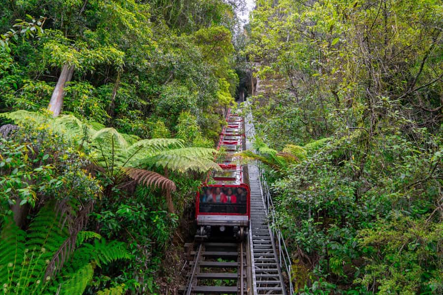 Sydney: Blue Mountains, Scenic World, Zoo & Lincoln's Rock - Key Things I’d Plan Around