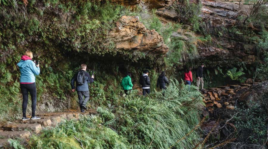 Sydney: Blue Mountains Wildlife & Bushwalk Small-Group Tour - Key highlights worth your attention
