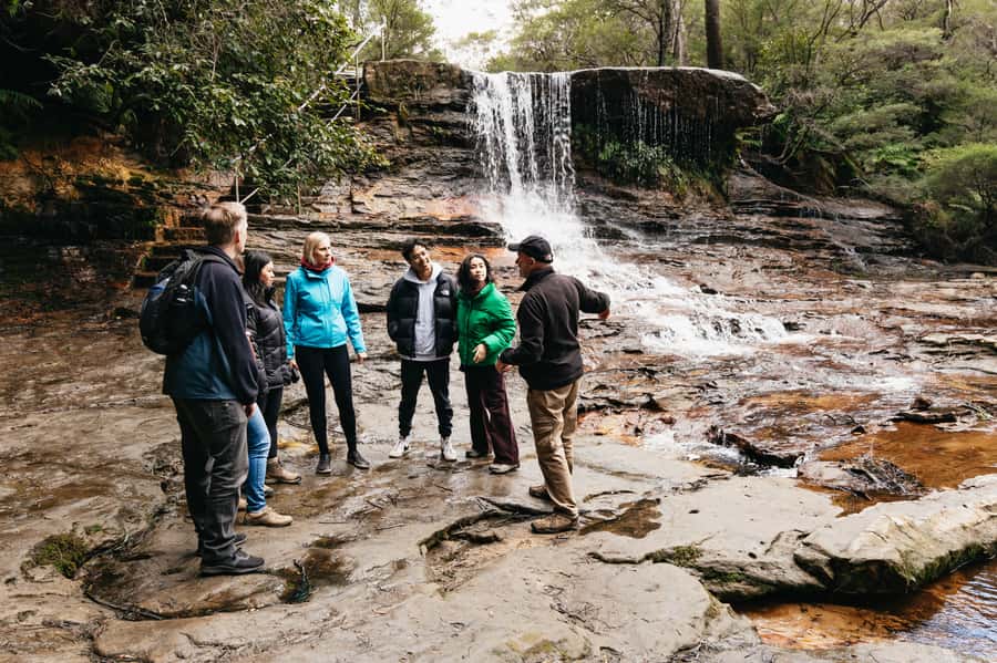 Sydney: Blue Mountains Wildlife & Bushwalk Small-Group Tour - Wentworth Falls Bushwalk: Short Trails, Uneven Ground, and Real Payoff