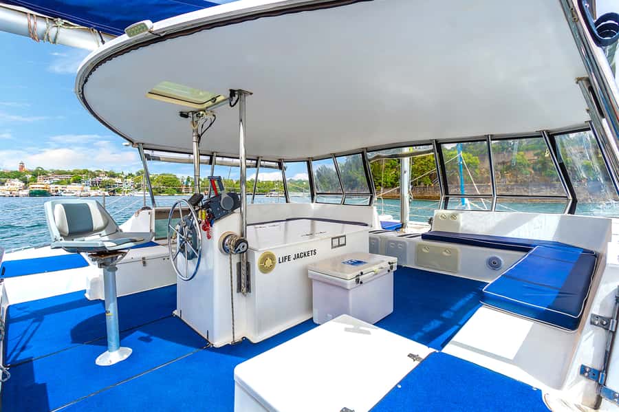 Sydney: Bring Your Own Drinks Vivid Harbour Cruise - Who should book this BYO Vivid Harbour Cruise