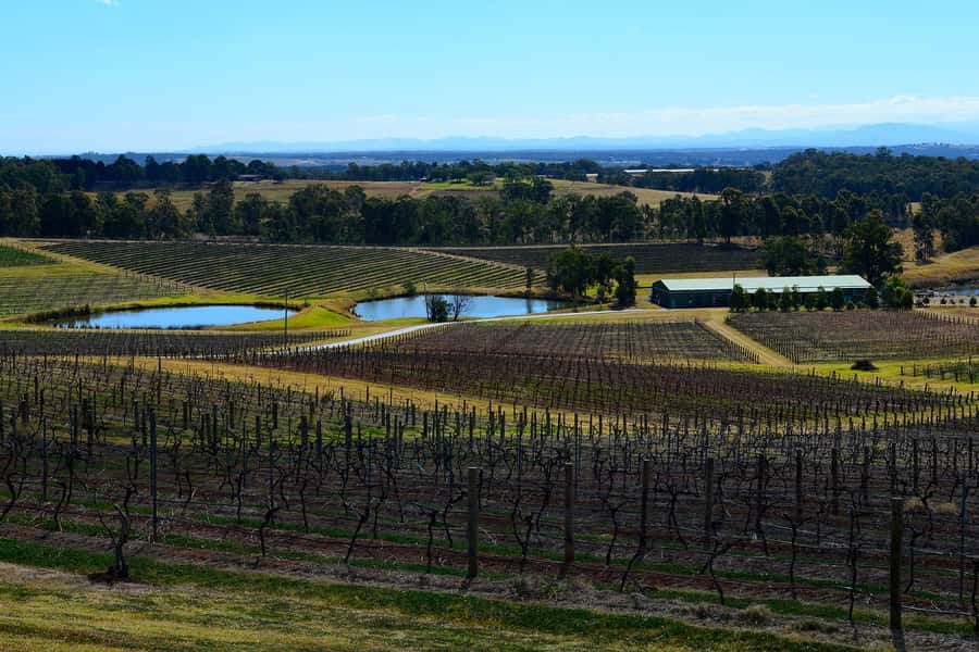 Sydney: Chef-Led Hunter Valley Food & Wine Tour - Key Highlights You’ll Feel Immediately