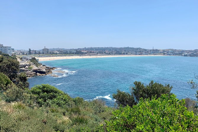 Sydney City, Harbour & Bondi Private Tour, with Airport pick up or drop off - Key things I’d clock before you go