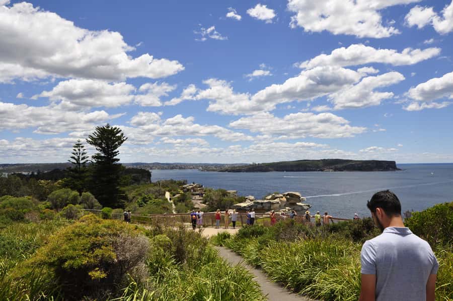 Sydney: City Highlights Guided Bus Tour - Paddington, Oxford Street, and Back to Hyde Park Before the Opera House