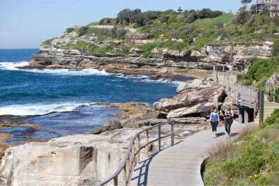Sydney City Highlights & Hidden Gems: Private or Small Group Tour - How pickup and small-group pacing changes the whole day