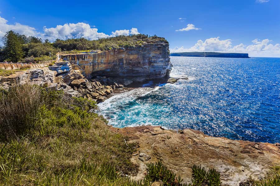 Sydney: City Highlights Private Half-Day Tour - A half-day private route built for first-time Sydney