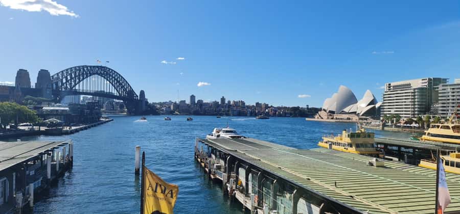 Sydney: City Sights Walking Tour - Royal Botanic Garden Sydney and Hyde Park: nature + history without the extra planning