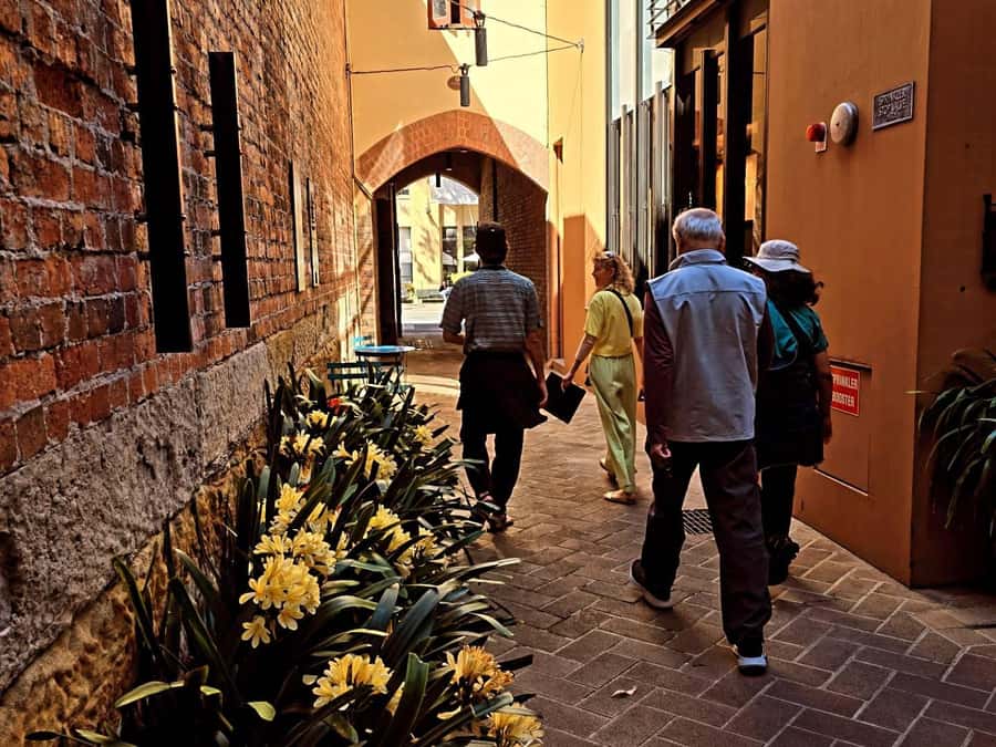 Sydney: City Sights Walking Tour - Price and value: $46 for 150 minutes, entries, and a souvenir