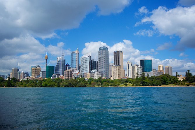 Sydney Coastal Escape | Private Mercedes Tour Sydney - Gap Park and Watsons Bay: entrance-to-the-harbour views