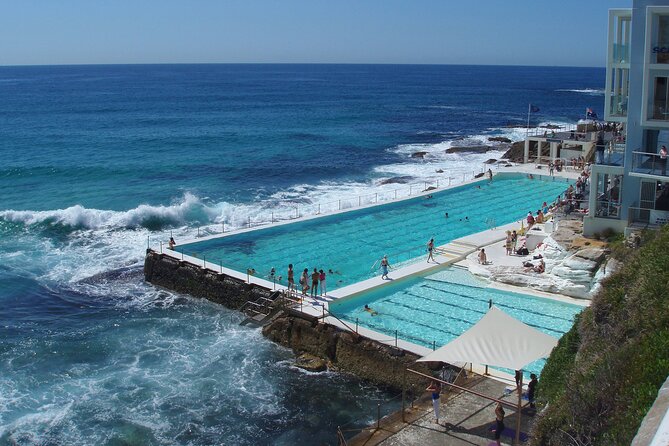 Sydney Combo: Morning Sightseeing to Bondi & Harbour Lunch Cruise - Morning Mercedes comfort and the value math (the $176 question)