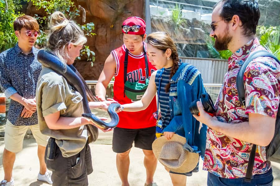 Sydney: Combo Pass for 2, 3, or 4 Top City Attractions - Key Points to Know Before You Buy