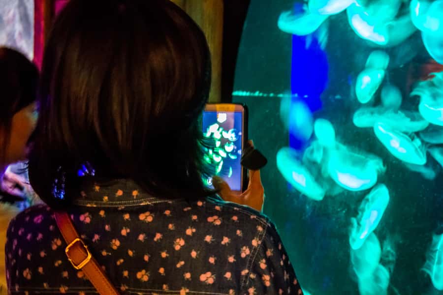 Sydney: Combo Pass for 2, 3, or 4 Top City Attractions - Who This Pass Suits Best
