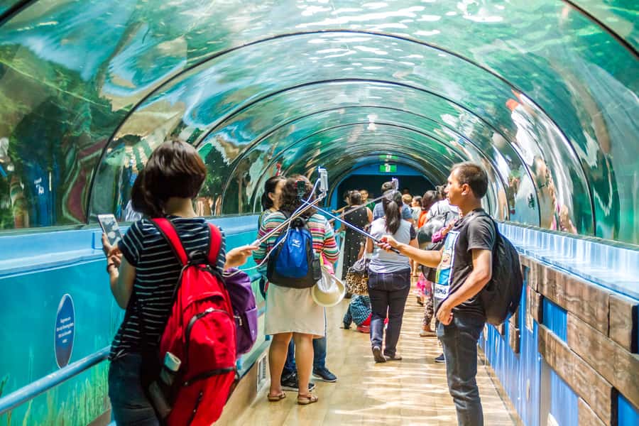 Sydney: Combo Pass for 2, 3, or 4 Top City Attractions - A Smart Pass for Sydney’s Biggest Hits (Without the Same-Day Stress)