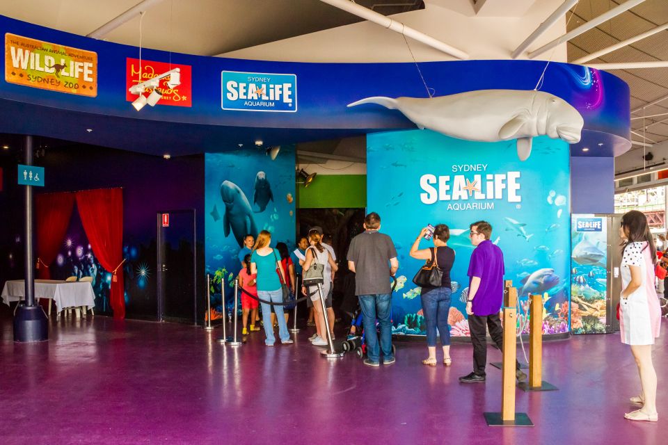 Sydney: Combo Pass for 2, 3, or 4 Top City Attractions - Sydney Tower Eye: One Timed Booking for Views You Can Actually Plan Around