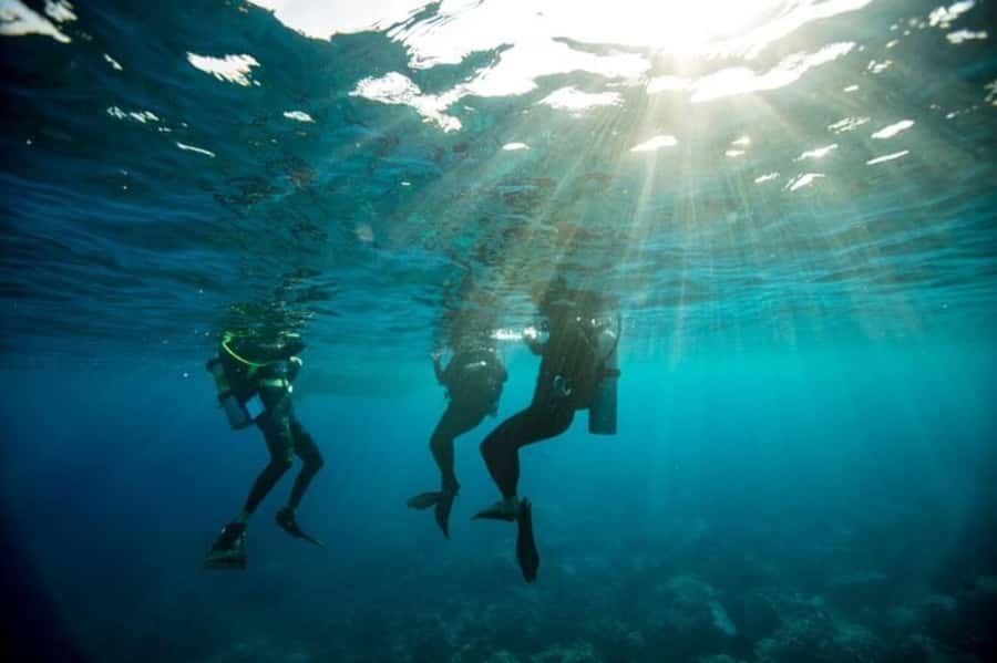 Sydney: Discover Scuba Dive at Australia's most Iconic Beach - Why the 2:1 coaching ratio changes everything