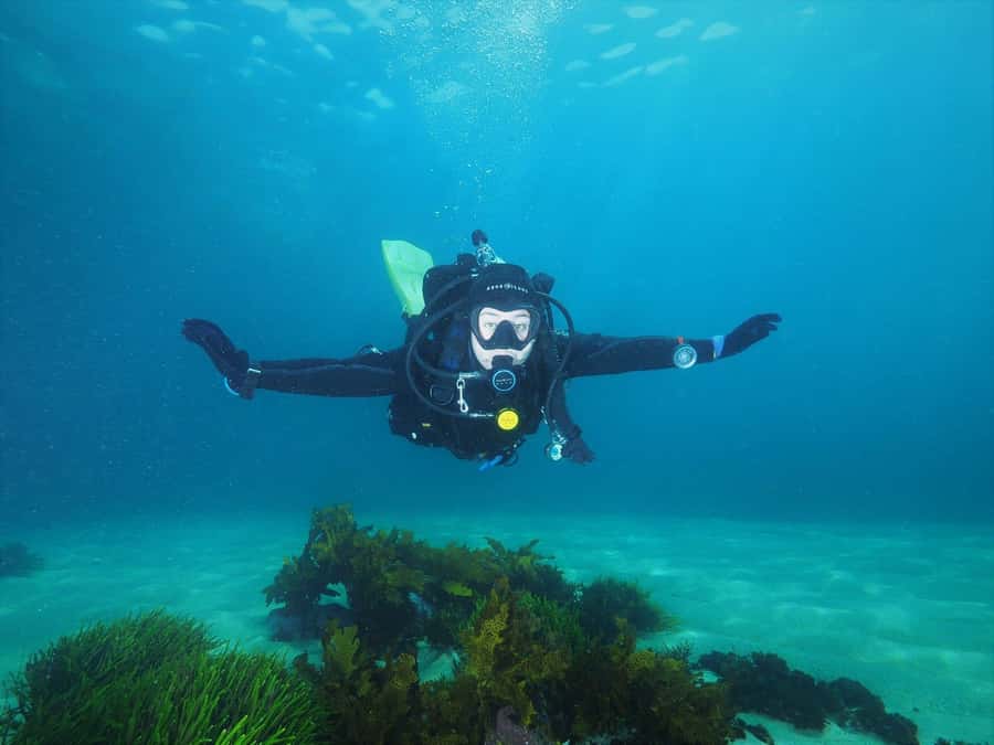 Sydney: Discover Scuba Dive at Australia's most Iconic Beach - Equipment, transport, and what you’re responsible for bringing