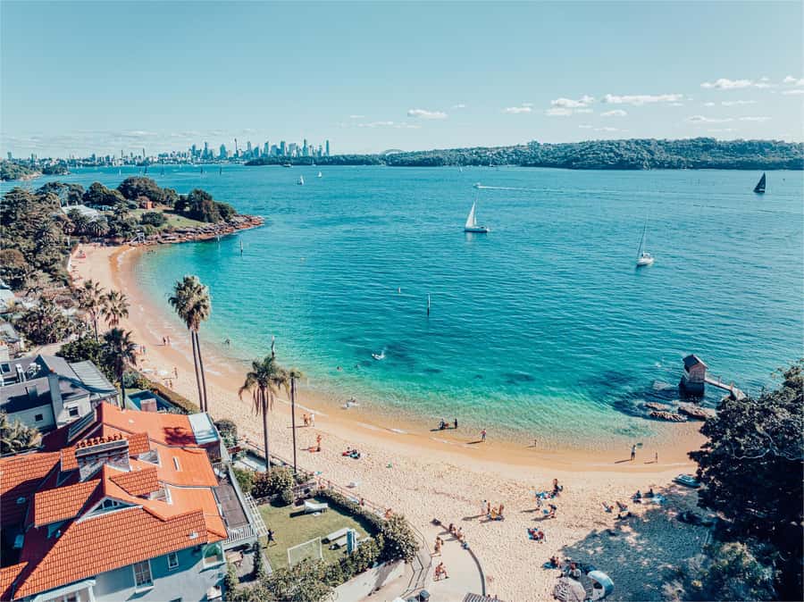 Sydney: Discover Scuba Dive at Australia's most Iconic Beach - Should you book the PADI Discover Scuba at Bondi?