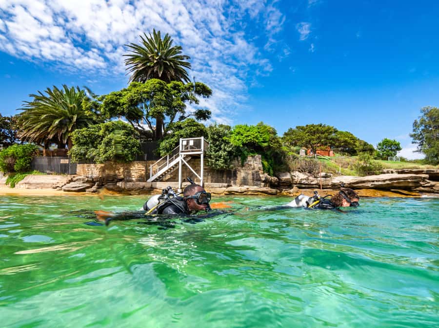 Sydney: Discover Scuba Dive at Australia's most Iconic Beach - The real highlight: guided ocean time over Sydney’s marine life