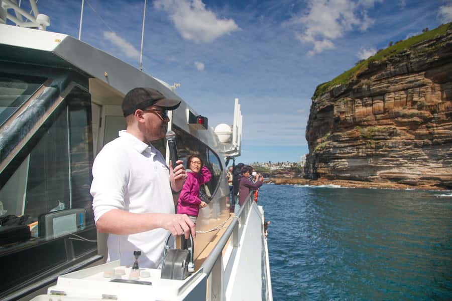 Sydney: Discovery Whale Watching Tour by Catamaran - What the Ride Feels Like: Speed, Sea Conditions, and Sound